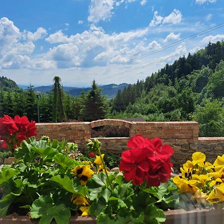 Podgorska Odskocznia Guest House Sokolec Eksteriør bilde