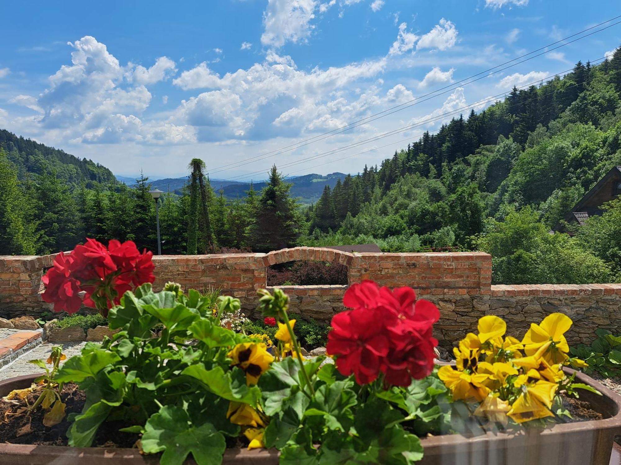 Podgorska Odskocznia Guest House Sokolec Eksteriør bilde